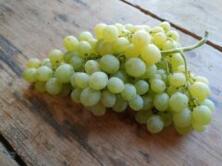 Trauben kernlos wei&szlig;