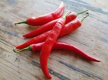 Chili/Peperoni rot