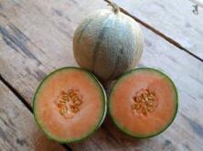Honigmelone Charentais