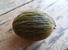 Honigmelone Piel de Sapo
