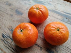 Clementinen