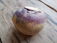 Steckr&uuml;ben klein regional