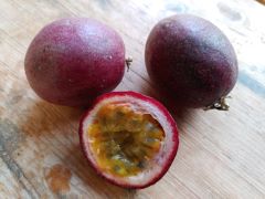 Passionsfrucht violett Spanien