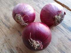 Zwiebeln rot regional