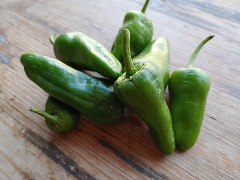 Paprika Pimiento de Padron/Bratpaprika