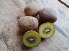 Kiwi Gold gro&szlig;