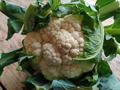 Blumenkohl klein regional