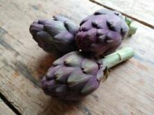 Artischocken violett 150g+