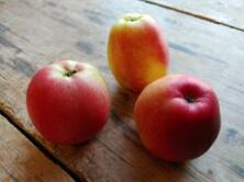 Apfel Sweetango