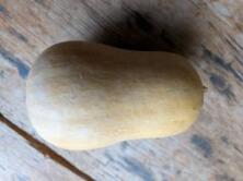 K&uuml;rbis Butternut