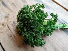 Kr&auml;uter Petersilie kraus Bund