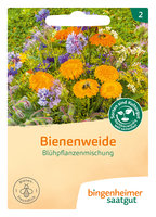 Saatgut Bienenweide Blumenmischung