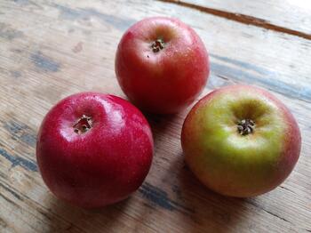Apfel Mariella