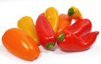 Paprika Snack Paprika orange samenfest