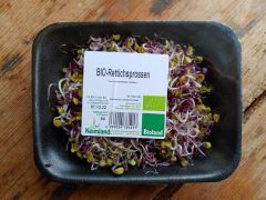 Sprossen Rettich rot samenfest