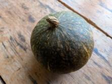 K&uuml;rbis Hokkaido gr&uuml;n regional