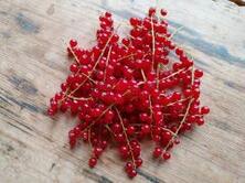 250g Johannisbeeren rot