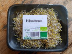 Sprossen Brokkoli samenfest