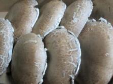 1kg Pilze Riesenchampignons Portobello