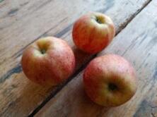 Apfel Jonagored