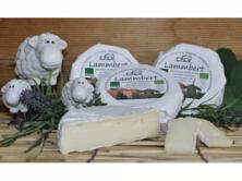 Lammbert Schaf Weichk&auml;se ca. 250g