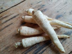 Wurzelpetersilie regional