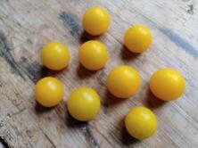 Tomaten Cherrytomaten gelb