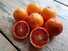 Orangen Saft Blutorangen Moro