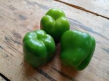 Paprika Blockpaprika gr&uuml;n