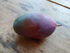 Mango Osteen Spanien