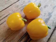 Paprika Blockpaprika gelb
