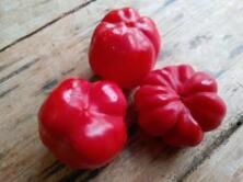 Paprika Blockpaprika rot