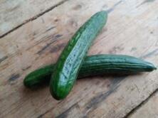 Gurken Schlangengurken
