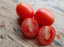 Tomaten Romatomaten regional