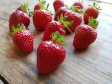 500g Erdbeeren regional