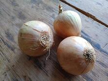 Zwiebeln gelb regional