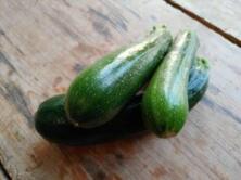 Zucchini gr&uuml;n regional