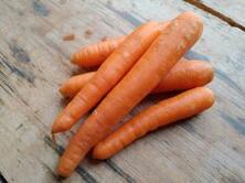 M&ouml;hren regional