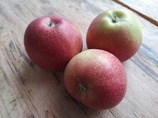 Apfel Braeburn