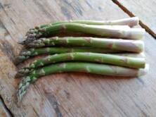 Spargel gr&uuml;n/violett