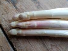 Spargel wei&szlig;/violett 12-16