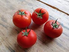 Tomaten Aromatomaten regional