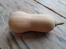 K&uuml;rbis Butternut regional