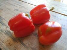 Paprika rot regional