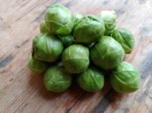 Rosenkohl