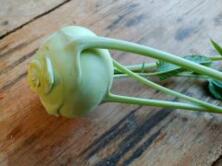 Kohlrabi regional