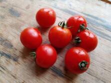 Tomaten Cherrytomaten regional
