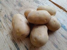 Kiste Kartoffel mehlig kochend