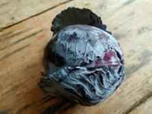 Rotkohl